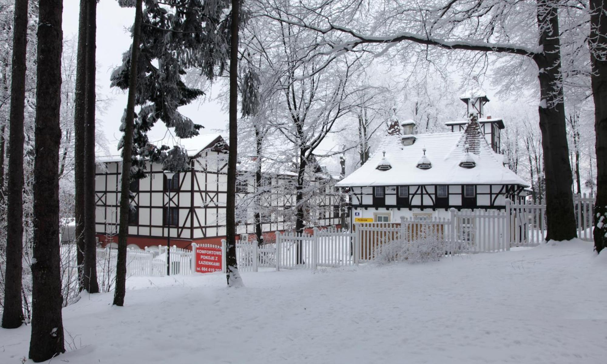 Bukowy Dworek Szczawno-Zdroj Zewnętrze zdjęcie