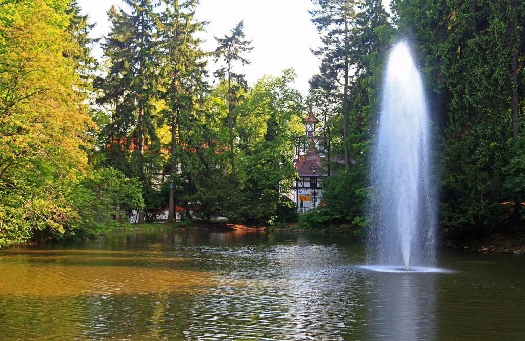 Bukowy Dworek Szczawno-Zdroj Zewnętrze zdjęcie